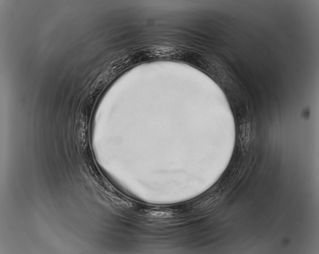 X0000115500653200912041039