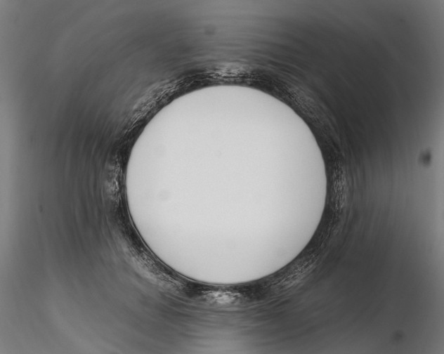 X0000115500654200912041039