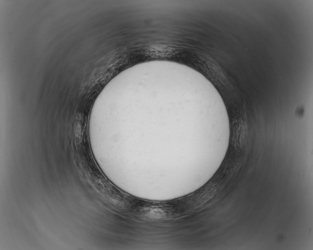X0000115500655200912041039