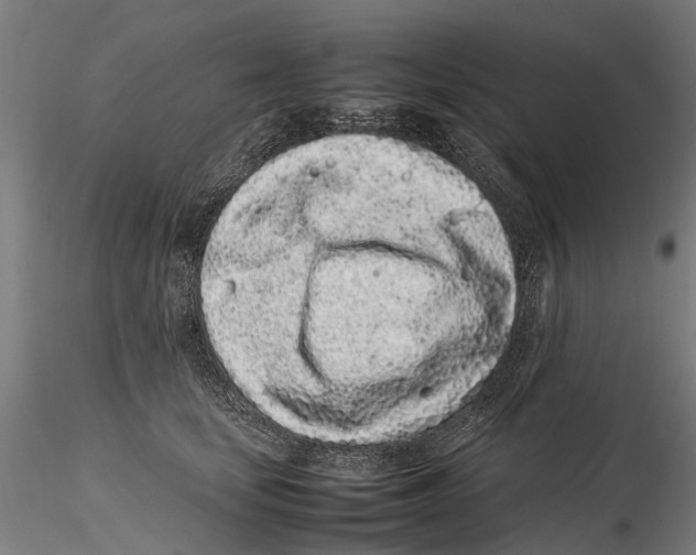 X0000115500659200912041039