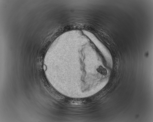 X0000115500661200912041039