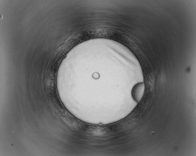 X0000115500663200912041039