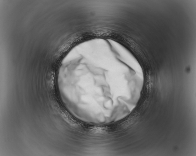 X0000115500664200912041039