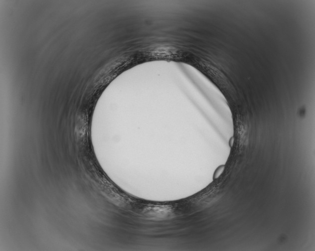 X0000115500665200912041039