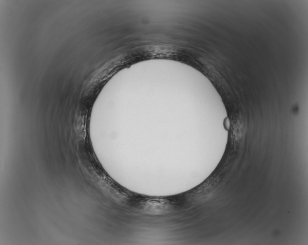X0000115500666200912041039