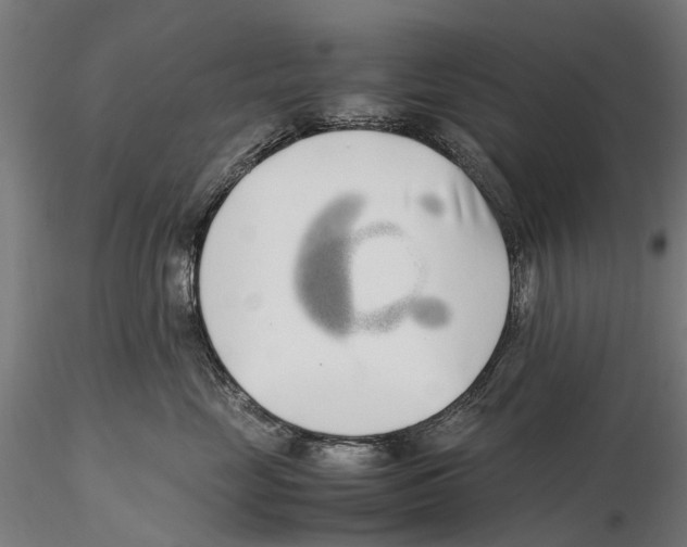 X0000115500669200912041039