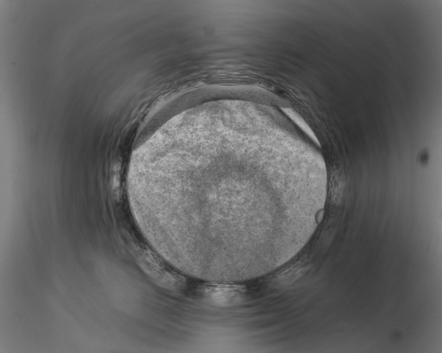 X0000115500670200912041039