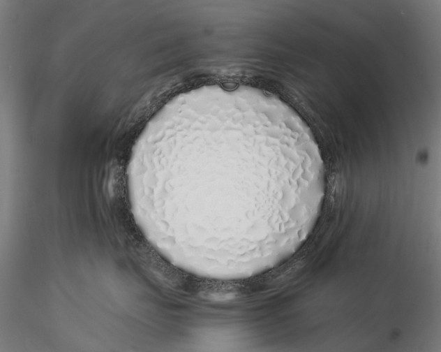 X0000115500671200912041039