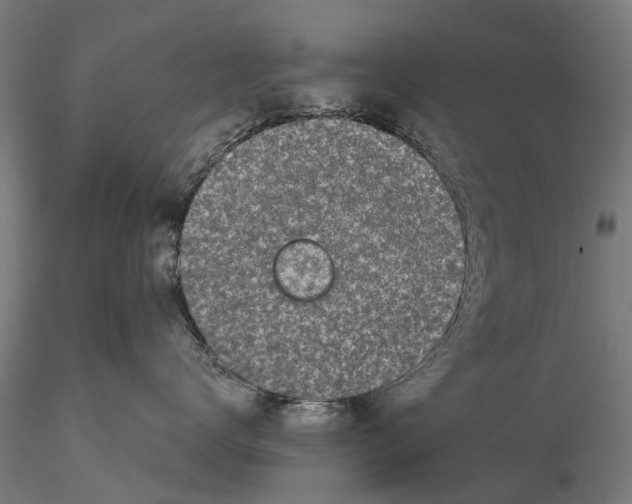 X0000115500672200912041039
