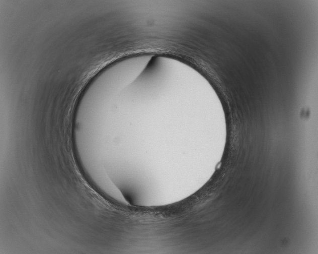 X0000115500673200912041038