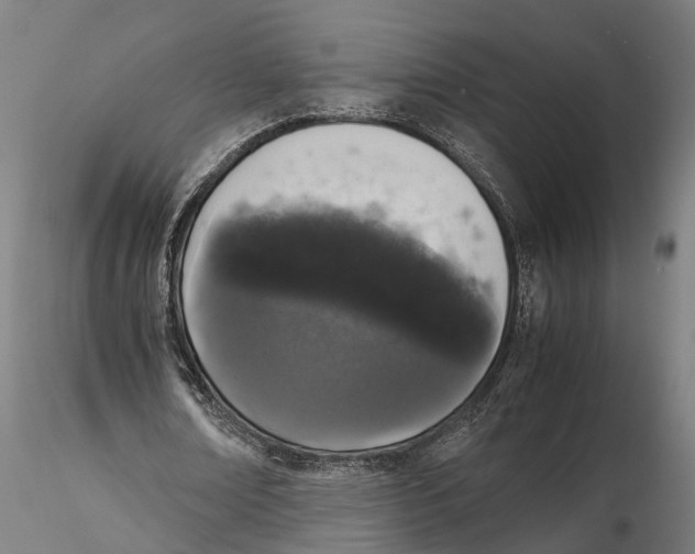 X0000115500674200912041038