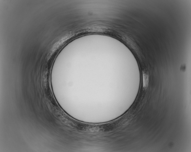 X0000115500675200912041038