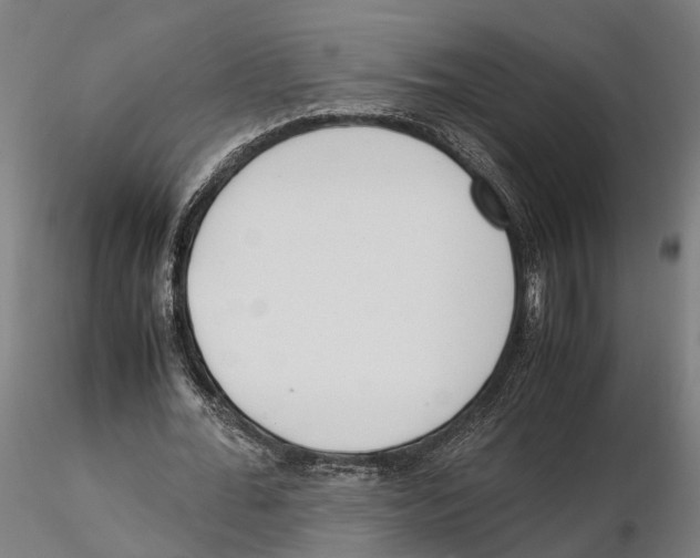 X0000115500676200912041038