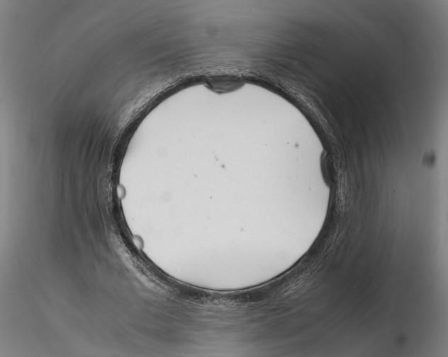 X0000115500677200912041038