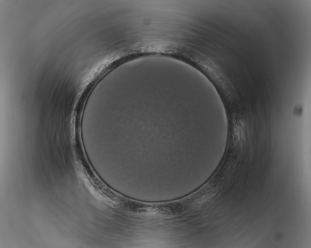 X0000115500678200912041038