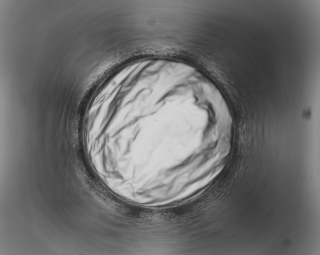 X0000115500679200912041038