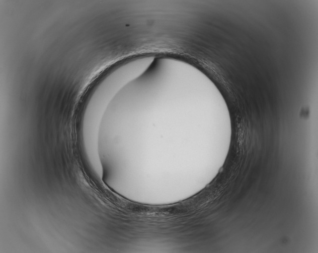 X0000115500680200912041038