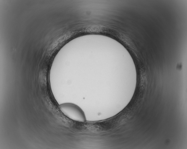 X0000115500681200912041038