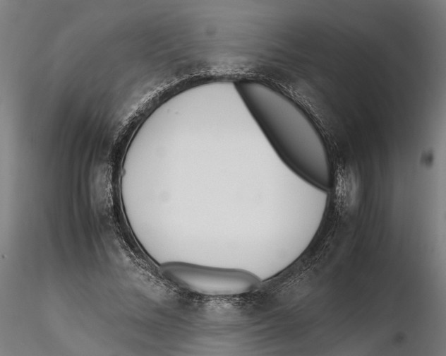 X0000115500684200912041038