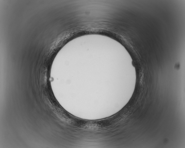 X0000115500685200912041038