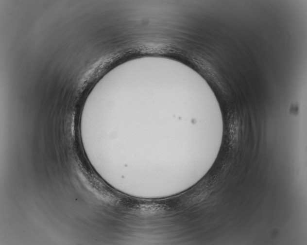 X0000115500686200912041038