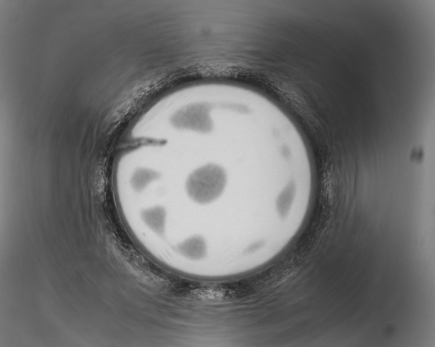 X0000115500687200912041038