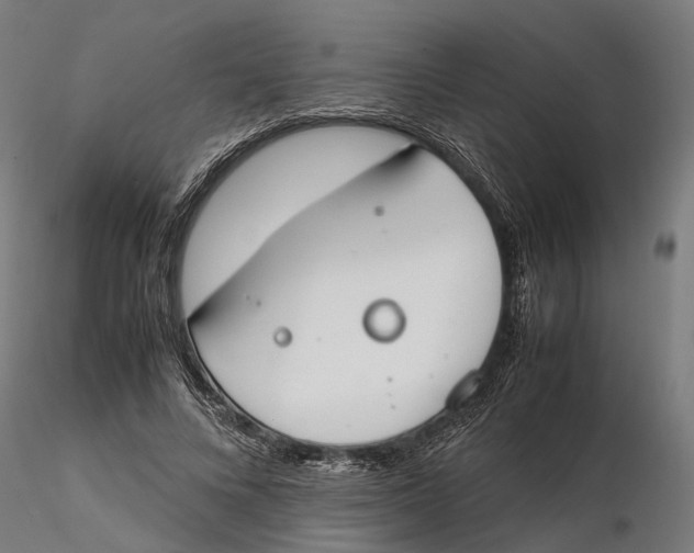 X0000115500688200912041038