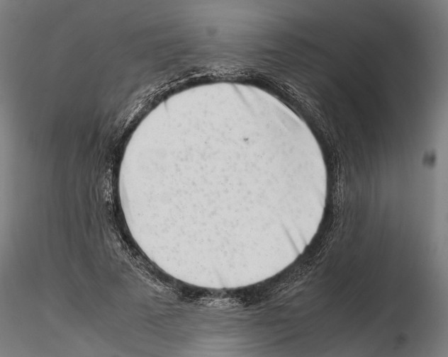 X0000115500689200912041038