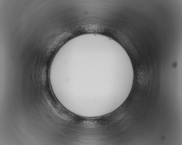 X0000115500690200912041038