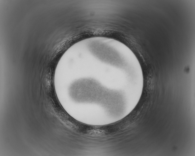 X0000115500691200912041038