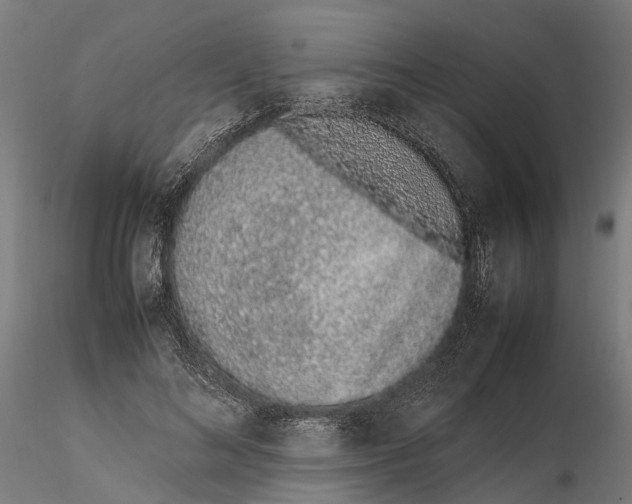 X0000115500692200912041038