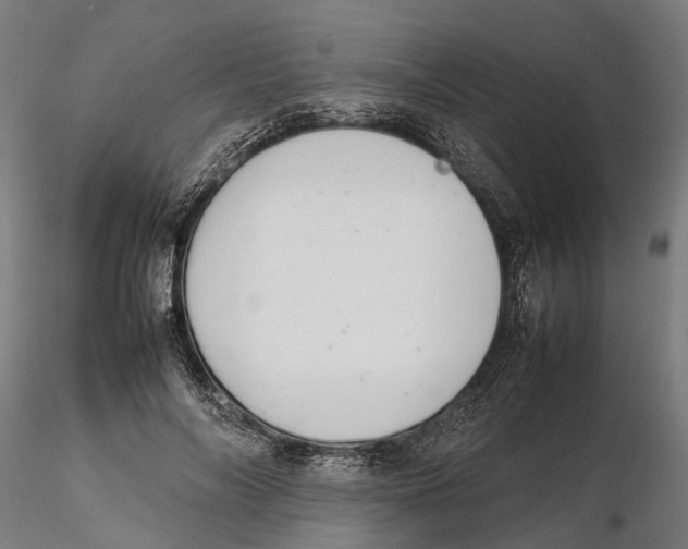 X0000115500694200912041038