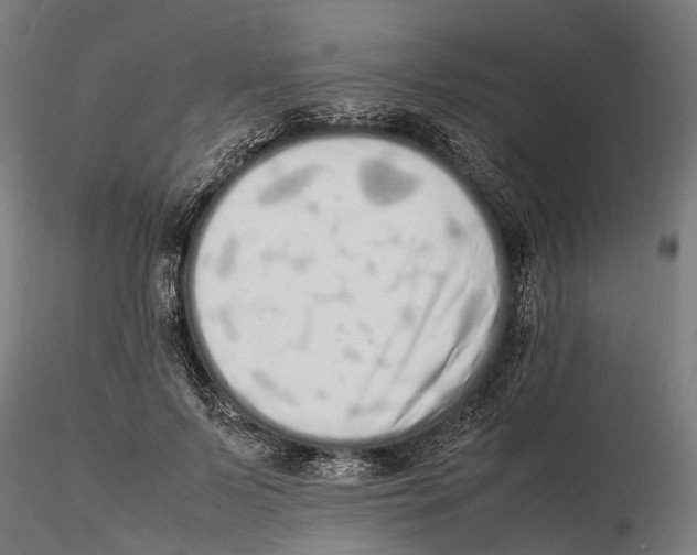 X0000115500695200912041038
