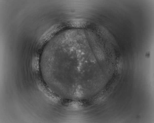 X0000115500696200912041038