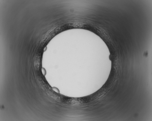 X0000115500697200912041038