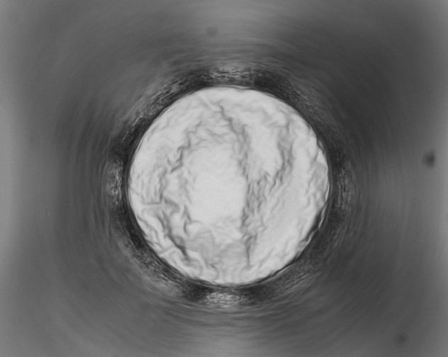 X0000115500699200912041038