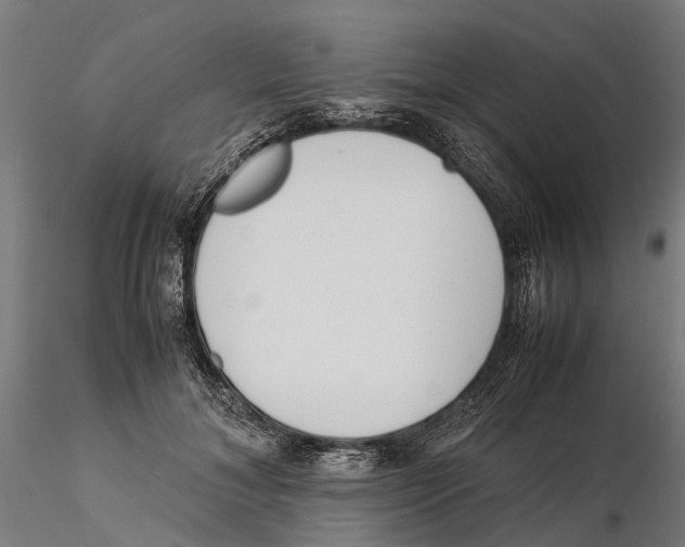X0000115500700200912041038