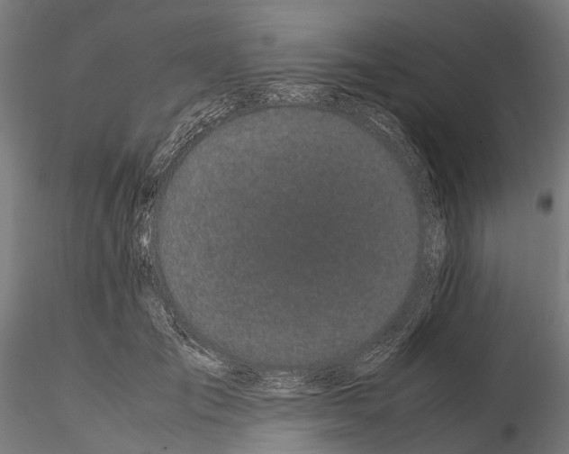 X0000115500701200912041038