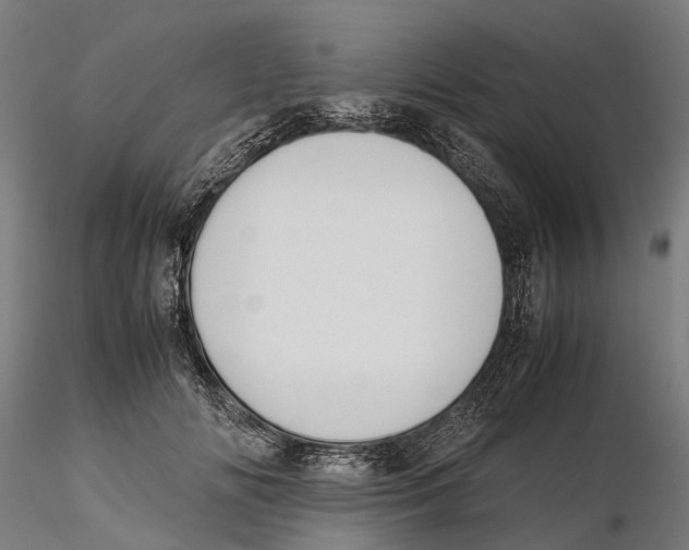 X0000115500702200912041038