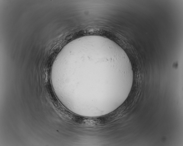 X0000115500703200912041038