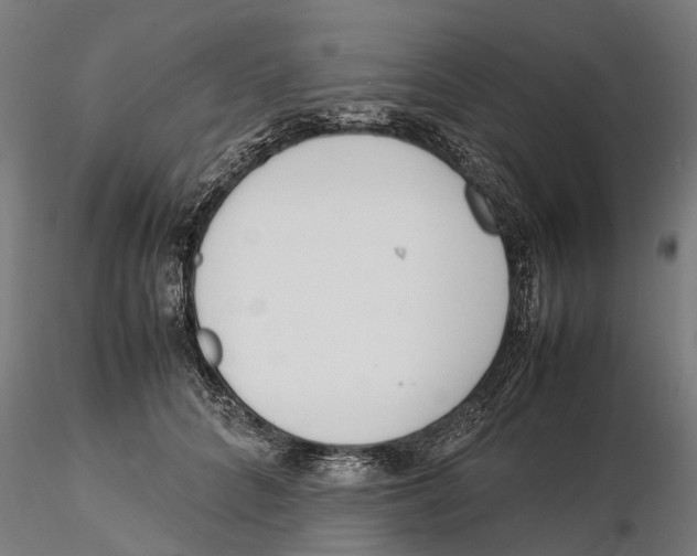 X0000115500704200912041038