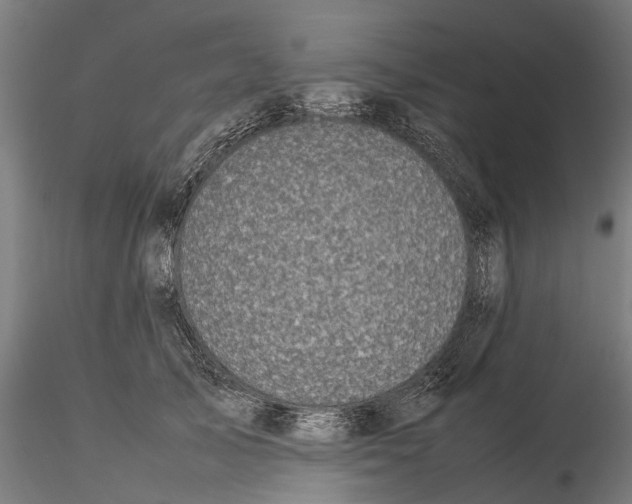 X0000115500705200912041038