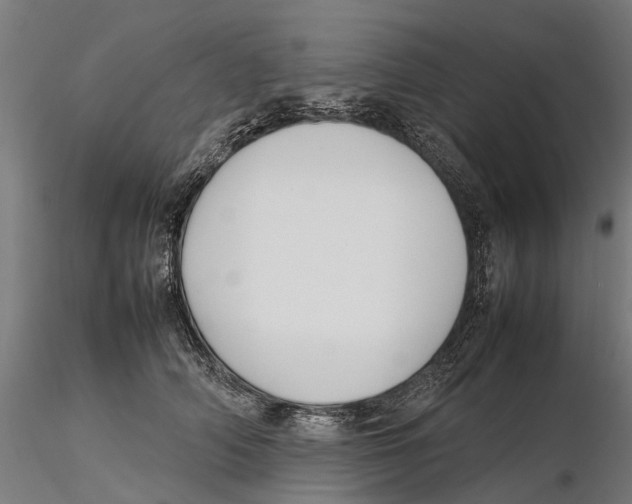 X0000115500706200912041038
