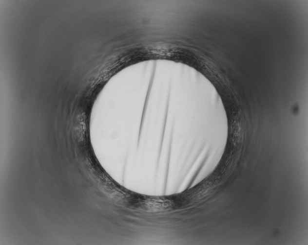 X0000115500707200912041038