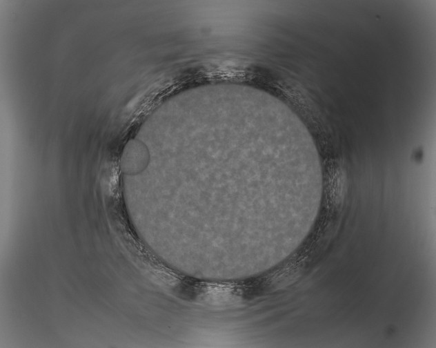 X0000115500709200912041038