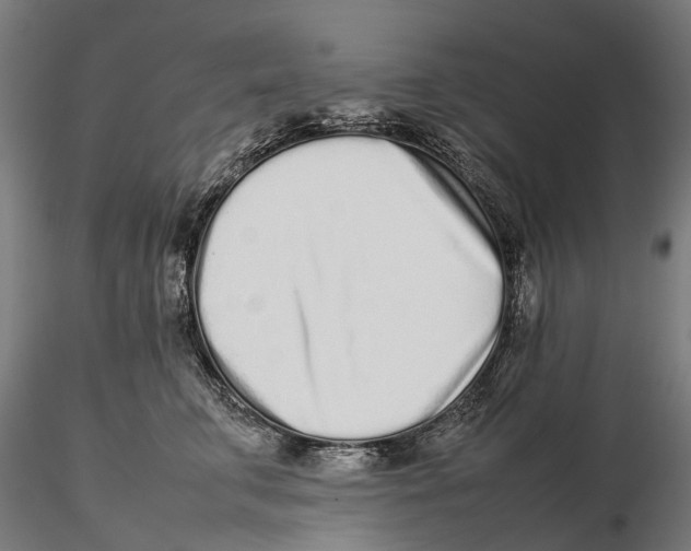 X0000115500711200912041038