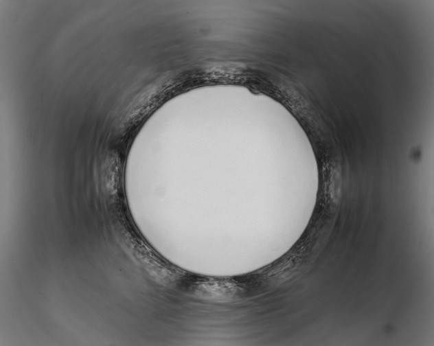 X0000115500712200912041038