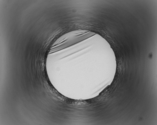 X0000115500716200912041038