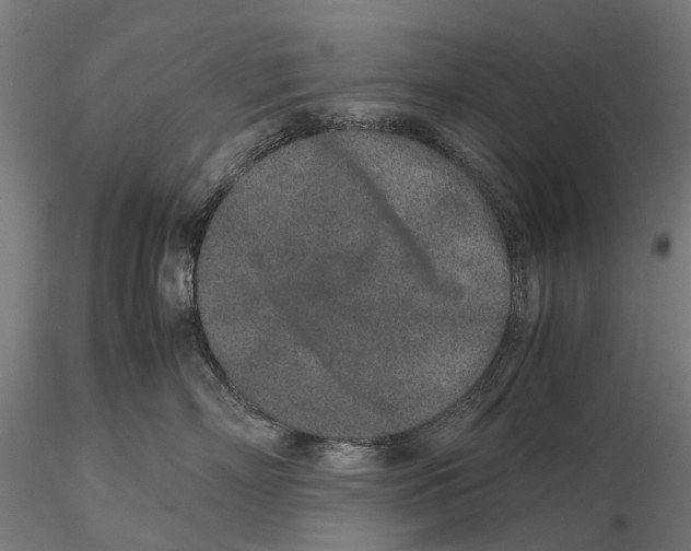 X0000115500718200912041038