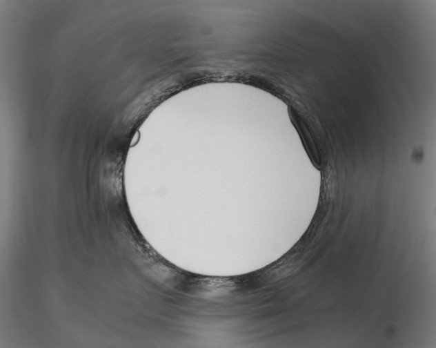 X0000115500719200912041038
